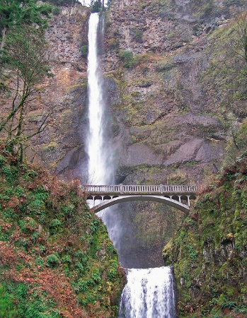 Multnoma in 2005