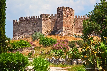 Ayasuluk Castle