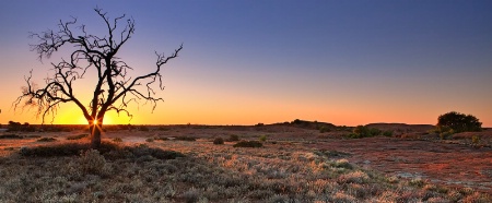 The Nullarbor