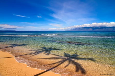 On the Beaches of Maui HI