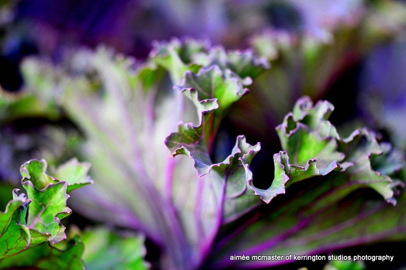 ruffles kale