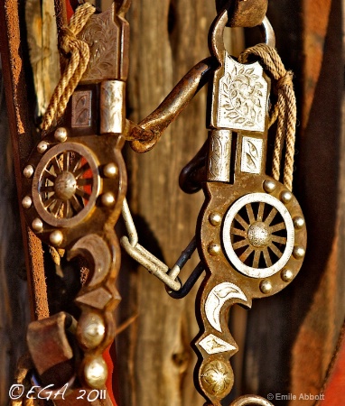 "Horse Tack Detail"