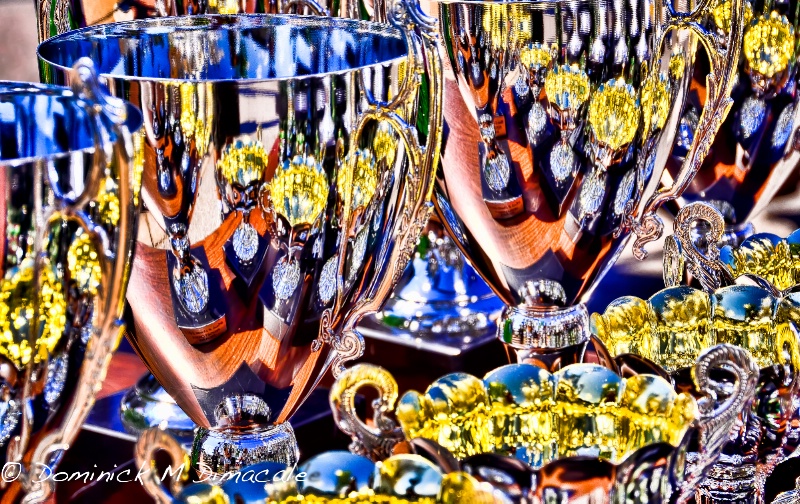 ~ ~ TROPHIES & REFLECTIONS ~ ~