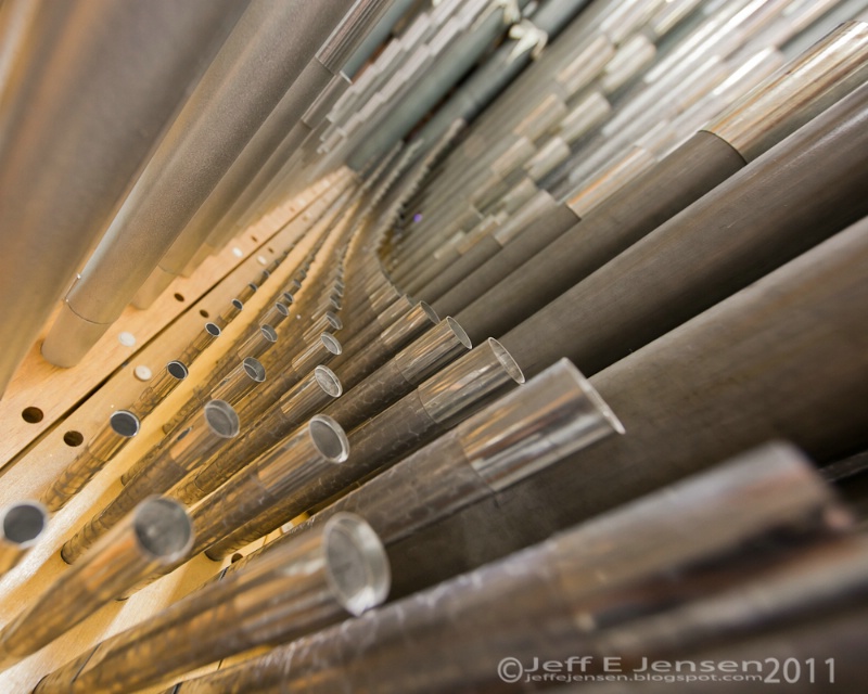 Organ Pipes