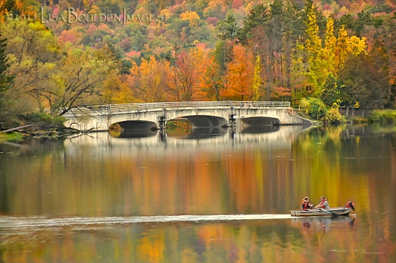 Autumn Splendor