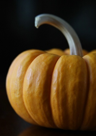 Pumpkin Curves