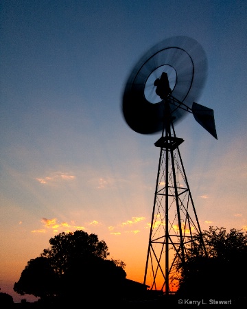 Evening Silhouette