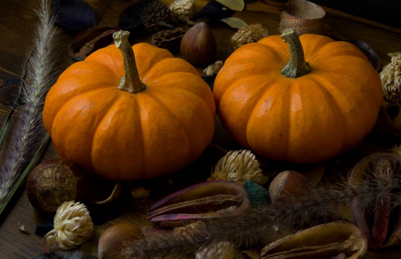 Pumpkin Harvest