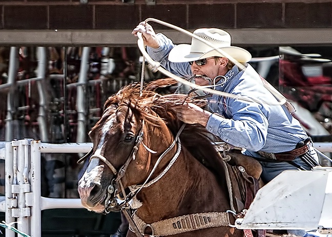 Steer Roping Rider