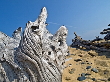 Whitefish Point Beach