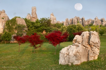  Stone Forest (New Color Changed Sky)