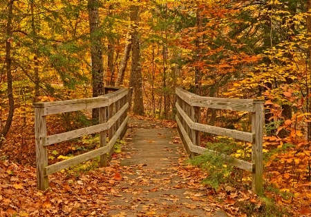 Across This Bridge.