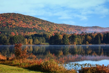 Allegany Autumn