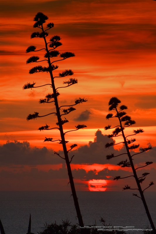 Autumn Sunset