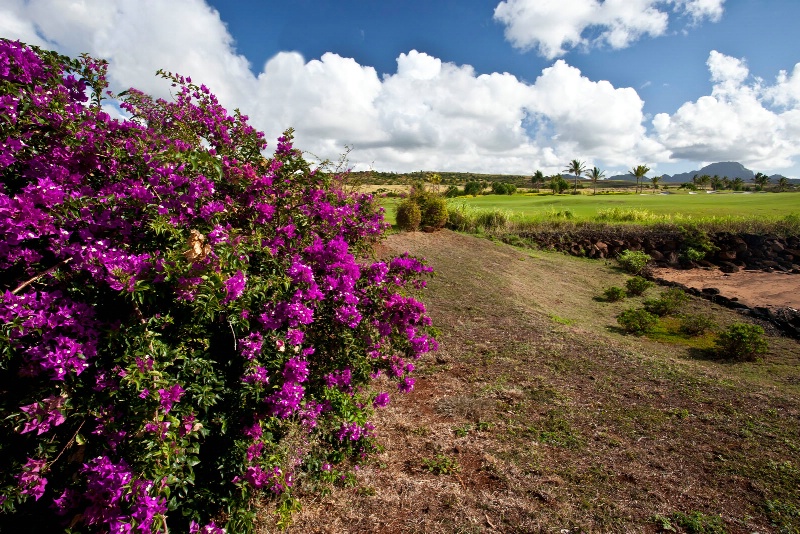 Pastoral