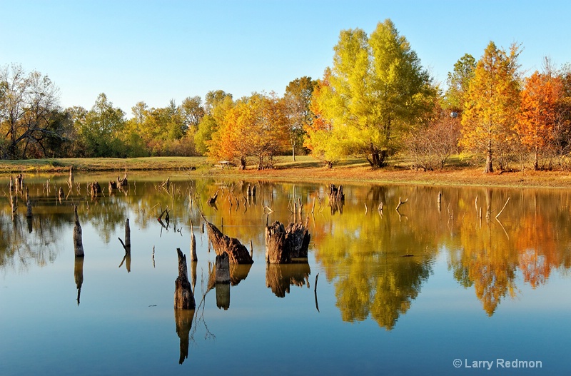 Autumn Reflections at Pinnacle Mountain State Park