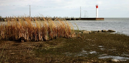 Wind Off The Lake