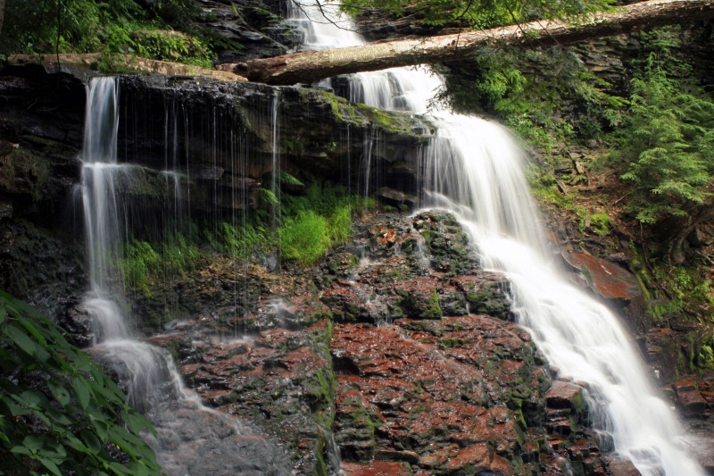 Ricketts glen 5