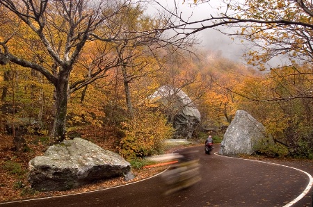 Two Riders in Autumn
