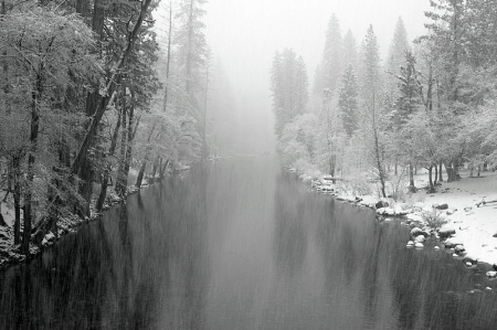 Winter Along The Merced River