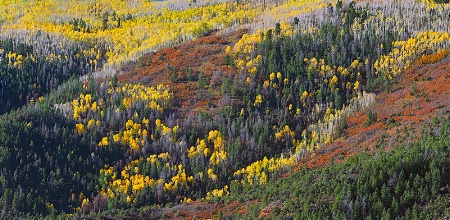 Colorado Colors