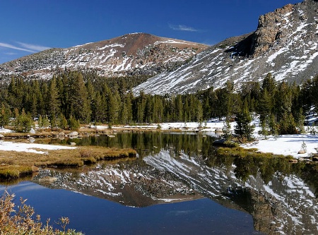 Yosemite Reflections