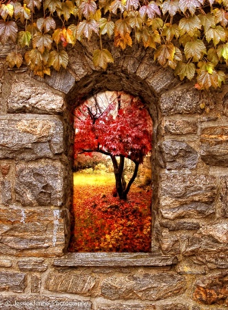 Window to Autumn