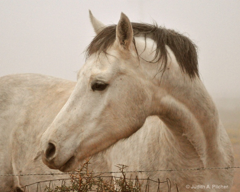 through the fog.....