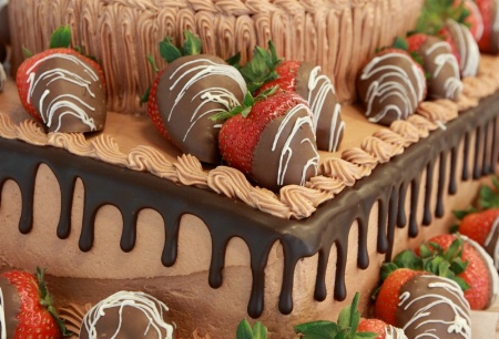 Chocolate & Strawberries