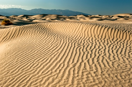 Lines on Dunes