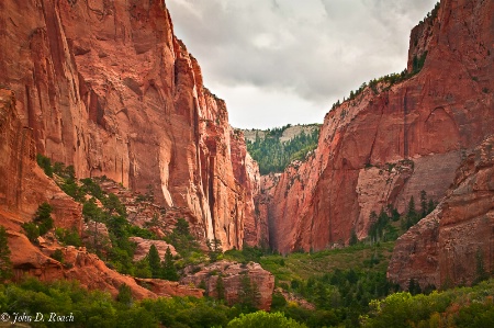 A Zion Canyon View