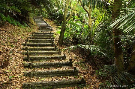 Log Staircase