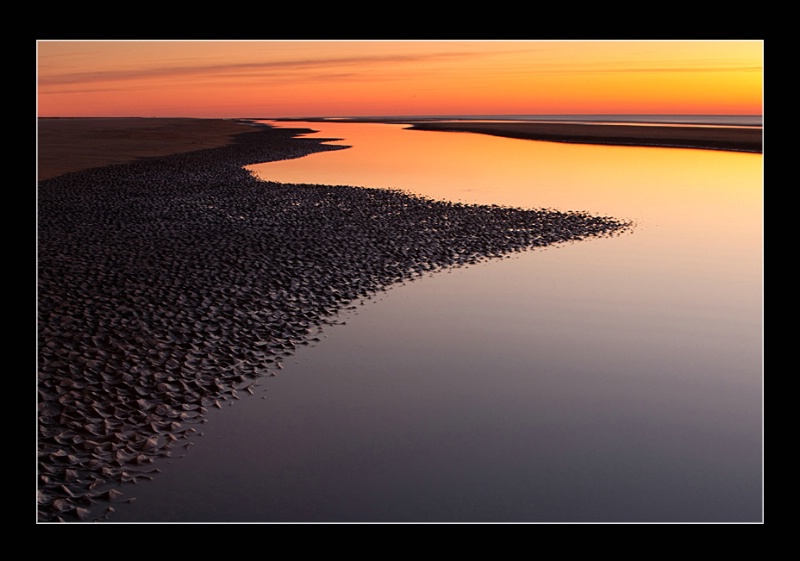 Tidal Pool