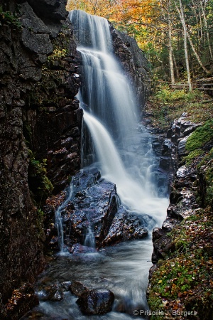 The Flume