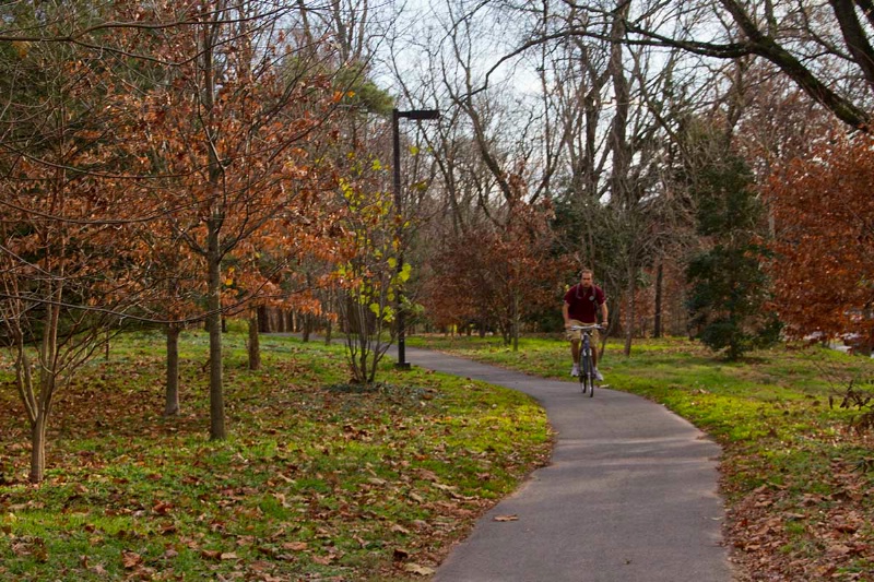 Meandering Bike Path