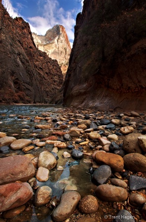 virgin river narrows zions