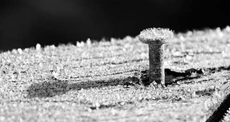 Frosty Nail B&W