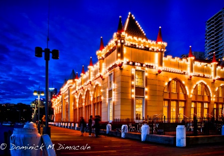 ~ ~ LUNA PARK LIGHTS ~ ~