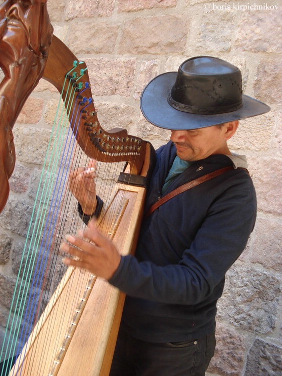 harpist