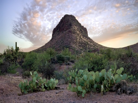 Superstition Mtns.