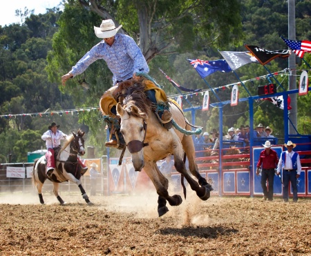 Buckskin