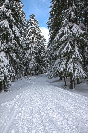 First Snow