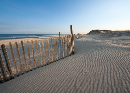 Sand Fence and Ripples