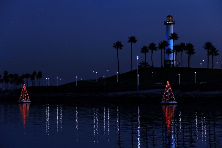 Rainbow Harbor Winter Night