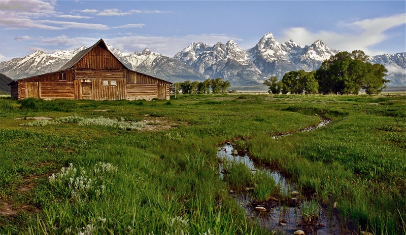 Teton Views