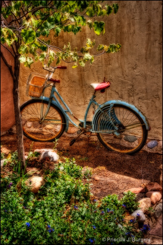 The Bicycle