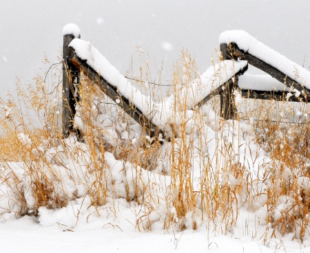 Snow in the Country