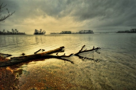 The Islands of Lake Guntersville