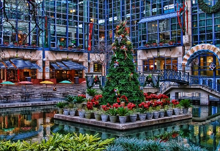 ~ CHRISTMAS IN SAN ANTONIO~