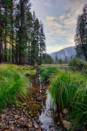 Along the Merced